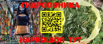 гидропоника Шахты