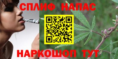 гидропоника Шахты