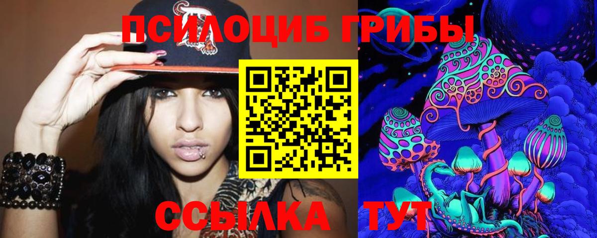 Псилоцибиновые грибы Magic Shrooms  где найти   Лесозаводск  Вход с VPN 